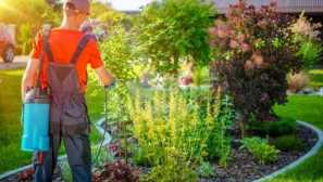 Ako pozemok, ktorý sa má liečiť z kliešťov: používanie chemikálií a ľudových metód